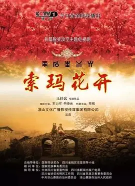 《索玛花开》：失落世界中的希望之光，唤醒内心深处的救赎力量！