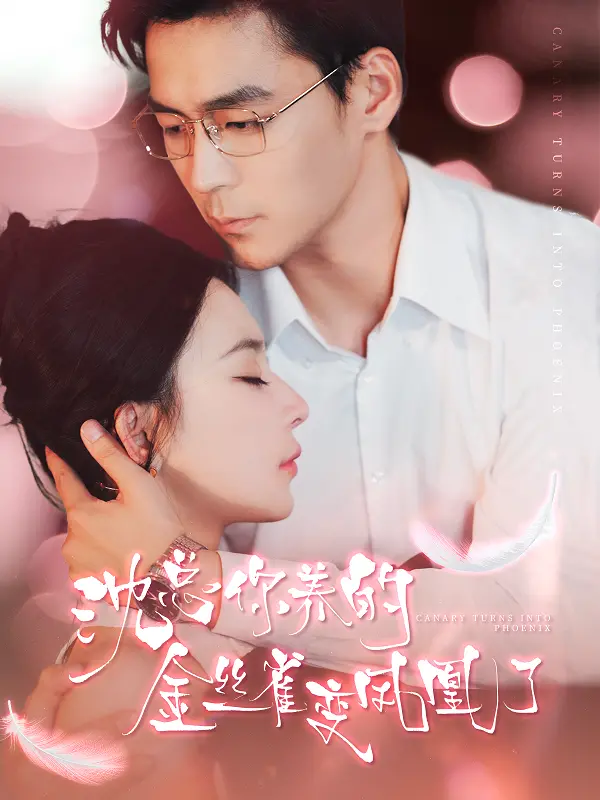 《沈总你养的金丝雀变凤凰了》：霸总娇妻逆袭记，从卑微到闪耀，看她如何玩转职场情场！