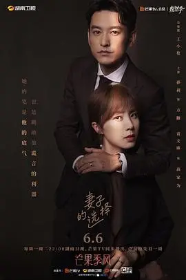 《妻子的选择》：一段惊心动魄的婚姻谍战，当信任崩塌，真相能否挽救一切？