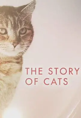 《猫科动物的故事》：一部关于勇气、忠诚与生存的史诗级猫咪冒险片，硬汉柔情尽显
